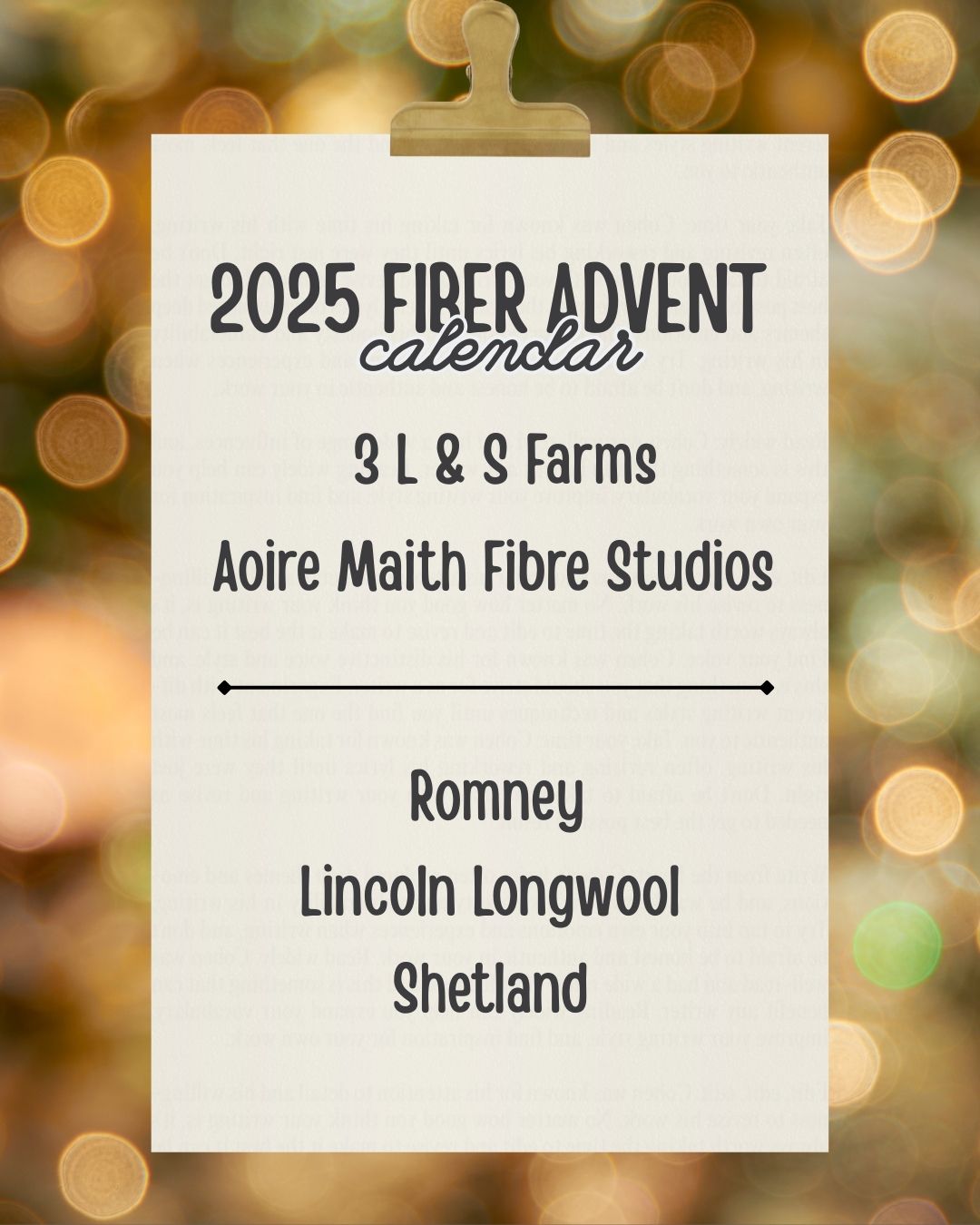 2025 Two Friends Fiber Advent Calendar