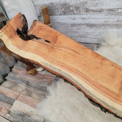 37" Goldilocks Peg Loom - Live Edge - Black Locust - 25-102