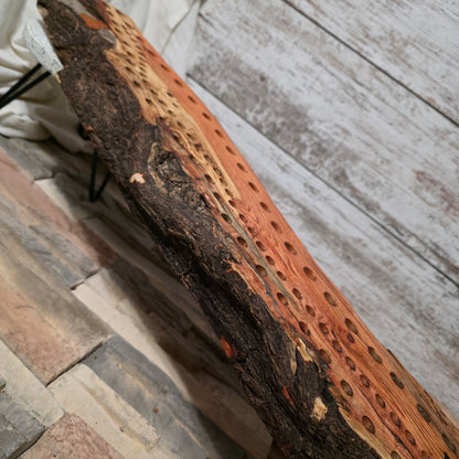 46" Live Edge Locust Goldilocks Peg Loom